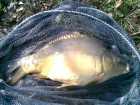 foto/diskuze/z_lovu/2009/th-img23024.jpg