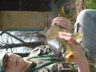 foto/diskuze/z_lovu/2009/th-img23037.jpg