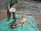 foto/diskuze/z_lovu/2009/th-img23092.jpg