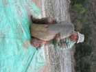 foto/diskuze/z_lovu/2009/th-img23097.jpg