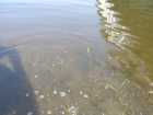 foto/diskuze/z_lovu/2009/th-img23130.jpg
