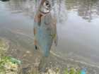 foto/diskuze/z_lovu/2009/th-img23141.jpg