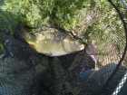 foto/diskuze/z_lovu/2009/th-img23207.jpg