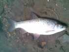 foto/diskuze/z_lovu/2009/th-img23216.jpg