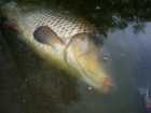 foto/diskuze/z_lovu/2009/th-img23236.jpg