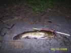 foto/diskuze/z_lovu/2009/th-img23253.jpg