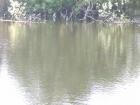 foto/diskuze/z_lovu/2009/th-img23555.jpg