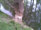 foto/diskuze/z_lovu/2009/th-img23721.jpg
