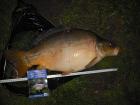 foto/diskuze/z_lovu/2009/th-img23916.jpg