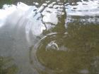 foto/diskuze/z_lovu/2009/th-img24006.jpg