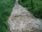 foto/diskuze/z_lovu/2009/th-img24024.jpg