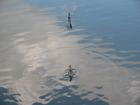 foto/diskuze/z_lovu/2009/th-img24052.jpg