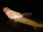 foto/diskuze/z_lovu/2009/th-img24061.jpg
