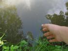 foto/diskuze/z_lovu/2009/th-img24141.jpg
