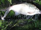 foto/diskuze/z_lovu/2009/th-img24142.jpg