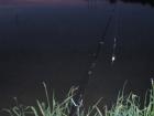 foto/diskuze/z_lovu/2009/th-img24292.jpg