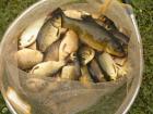 foto/diskuze/z_lovu/2009/th-img24308.jpg