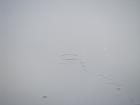 foto/diskuze/z_lovu/2009/th-img24322.jpg