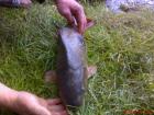 foto/diskuze/z_lovu/2009/th-img24405.jpg