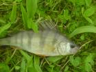 foto/diskuze/z_lovu/2009/th-img24433.jpg