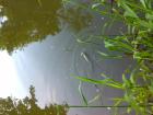 foto/diskuze/z_lovu/2009/th-img24450.jpg