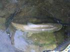 foto/diskuze/z_lovu/2009/th-img24487.jpg