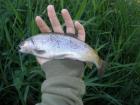 foto/diskuze/z_lovu/2009/th-img24500.jpg