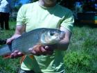 foto/diskuze/z_lovu/2009/th-img24585.jpg