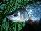 foto/diskuze/z_lovu/2009/th-img24586.jpg