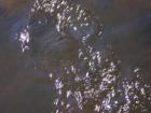 foto/diskuze/z_lovu/2009/th-img24593.jpg