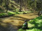 foto/diskuze/z_lovu/2009/th-img24606.jpg