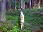 foto/diskuze/z_lovu/2009/th-img24719.jpg