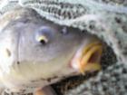foto/diskuze/z_lovu/2009/th-img24764.jpg