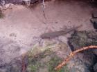 foto/diskuze/z_lovu/2009/th-img24822.jpg