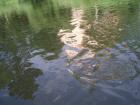 foto/diskuze/z_lovu/2009/th-img24866.jpg