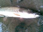foto/diskuze/z_lovu/2009/th-img24873.jpg