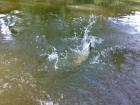 foto/diskuze/z_lovu/2009/th-img24888.jpg