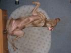 foto/diskuze/z_lovu/2009/th-img25533.jpg