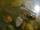 foto/diskuze/z_lovu/2009/th-img25683.jpg