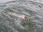 foto/diskuze/z_lovu/2009/th-img25685.jpg