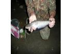 foto/diskuze/z_lovu/2009/th-img25777.jpg