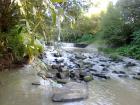 foto/diskuze/z_lovu/2009/th-img25862.jpg