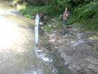 foto/diskuze/z_lovu/2009/th-img25984.jpg