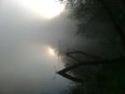 foto/diskuze/z_lovu/2009/th-img26017.jpg