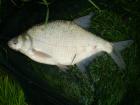 foto/diskuze/z_lovu/2009/th-img26471.jpg