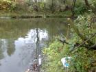 foto/diskuze/z_lovu/2009/th-img27287.jpg
