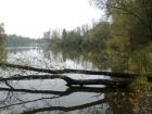 foto/diskuze/z_lovu/2009/th-img27290.jpg