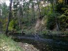 foto/diskuze/z_lovu/2009/th-img27518.jpg