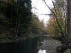 foto/diskuze/z_lovu/2009/th-img27519.jpg