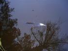 foto/diskuze/z_lovu/2009/th-img27575.jpg